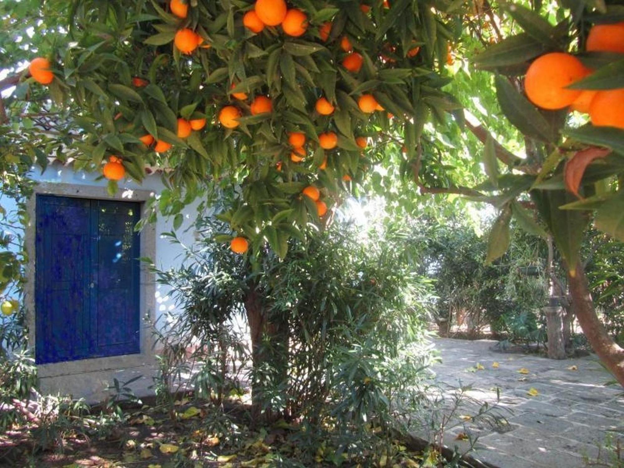 Come In Sicily La Pietra Monaca Apartment Acireale Room photo